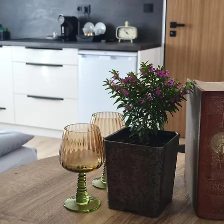 Lejlighed 513 Na Lapaci Vsetín