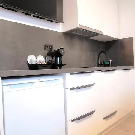 513 Na Lapaci Apartment *